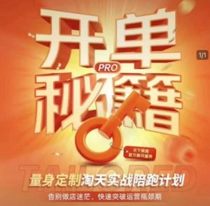 淘宝开单秘籍PRO，量身定制淘天实战陪跑计划，告别做店迷茫、快速突破运营瓶颈期-秋鱼网创