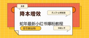 蛇年最新小红书爆粉教程，狂引副业粉，月入万+必看-秋鱼网创