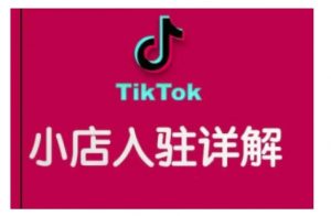 TikTok跨境小店运营全攻略,帮助你独立运营TK跨境小店的能力,实现销量增长-秋鱼网创