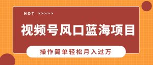 视频号风口蓝海项目，中老年人的流量密码，操作简单轻松月入过万-秋鱼网创