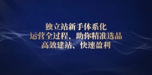 独立站新手体系化 运营全过程,助你精准选品、高效建站、快速盈利-秋鱼网创