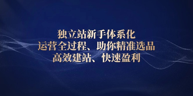 独立站新手体系化 运营全过程,助你精准选品、高效建站、快速盈利-秋鱼网创