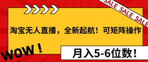 淘宝无人直播，全新起航！可矩阵操作，月入5-6位数！-秋鱼网创