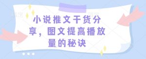 小说推文干货分享，图文提高播放量的秘诀-秋鱼网创