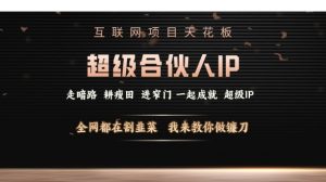 互联网项目天花板，超级合伙人IP，全网都在割韭菜，我来教你做镰刀【仅揭秘】-秋鱼网创