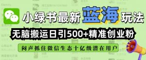 小绿书无脑搬运引流,全自动日引500精准创业粉,微信生态内又一个闷声发财的机会-秋鱼网创