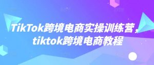 TikTok跨境电商实操训练营,tiktok跨境电商教程-秋鱼网创