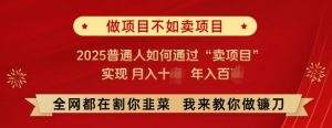 必看,做项目不如卖项目,2025普通人如何通过“卖项目”实现月入十个,年入百个-秋鱼网创