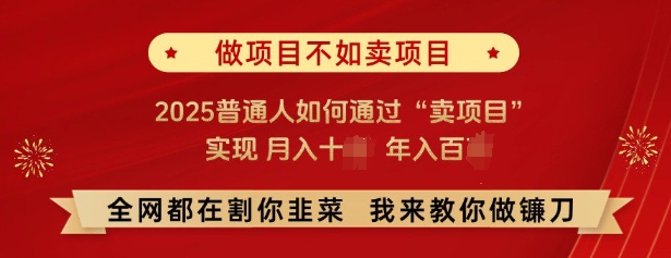 必看,做项目不如卖项目,2025普通人如何通过“卖项目”实现月入十个,年入百个-秋鱼网创