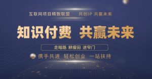 别人苦寻无果，为何他们靠知识付费卖项目 2025 年轻松年入100个?【揭秘】-秋鱼网创