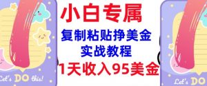 复制粘贴挣美金，0门槛，1天收入95美刀，3分钟学会，内部教程(首次公开)-秋鱼网创