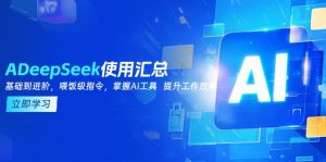 DeepSeek使用汇总,基础到进阶,提示词技巧,掌握AI工具 提升工作效率-秋鱼网创