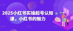 2025小红书实操起号认知课，小红书的魅力-秋鱼网创