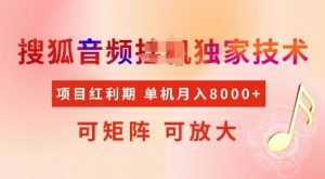 全网首发搜狐音频挂JI独家技术，项目红利期，可矩阵可放大，稳定月入8k【揭秘】-秋鱼网创