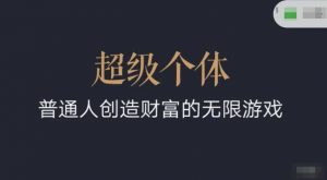超级个体2024-2025翻盘指南,普通人创造财富的无限游戏-秋鱼网创