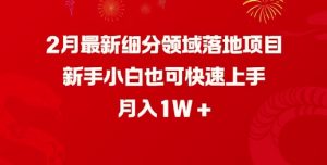 2月最新细分领域落地项目,新手小白也可快速上手,月入1W-秋鱼网创