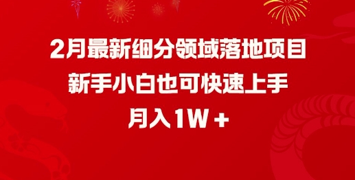 2月最新细分领域落地项目,新手小白也可快速上手,月入1W-秋鱼网创