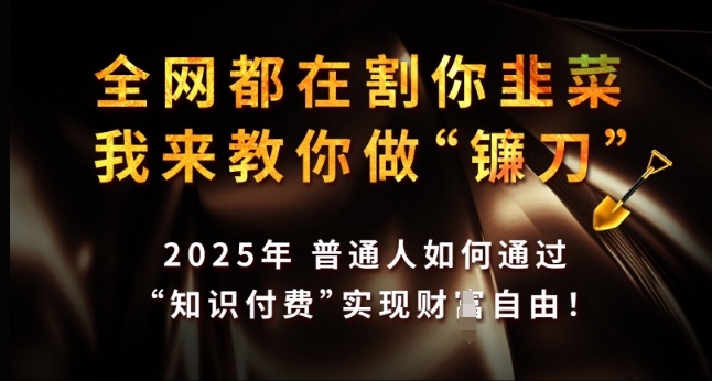 全网都在割你韭菜,我来教你做镰刀,2025年普通人如何通过 知识付费 实现财F自由【揭秘】-秋鱼网创
