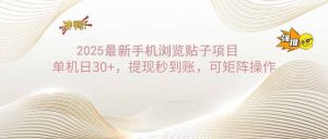 2025手机浏览帖子单机日30+，提现秒到账，可矩阵操作-秋鱼网创