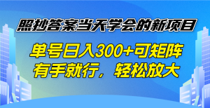 照抄答案当天学会的新项目，单号日入300 +可矩阵，有手就行，轻松放大-秋鱼网创