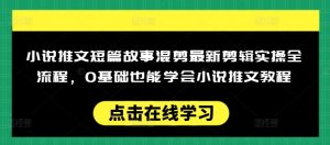 小说推文短篇故事混剪最新剪辑实操全流程，0基础也能学会小说推文教程，肯干多发日入多张-秋鱼网创
