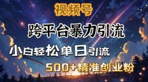 跨平台暴力引流，私域完美闭环，日引500+精准创业粉-秋鱼网创
