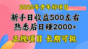 2025开年好项目,单号日收益2000左右-秋鱼网创