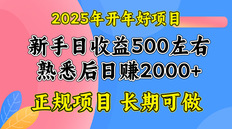 2025开年好项目,单号日收益2000左右-秋鱼网创