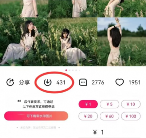 最新图虫搬运项目,收益无上限,利用AI小白也可日赚500+-秋鱼网创