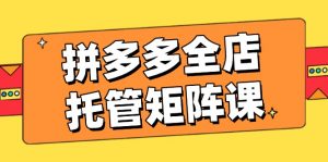 拼多多全店托管矩阵课,盈利动销玩法,高效计划设置,提升店铺效益-秋鱼网创
