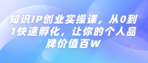 知识IP创业实操课,从0到1快速孵化,让你的个人品牌价值百W-秋鱼网创