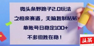微头条野路子2.0玩法之相亲赛道，无脑搬砖复制粘贴，单账号日稳定300+...-秋鱼网创