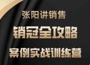 张阳讲销售实战训练营，​案例实战训练，销冠全攻略-秋鱼网创