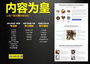 刘老师·外贸询盘增长秘籍从0到1的实战指南-秋鱼网创