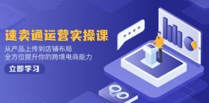 速卖通运营实操课,从产品上传到店铺布局,全方位提升你的跨境电商能力-秋鱼网创