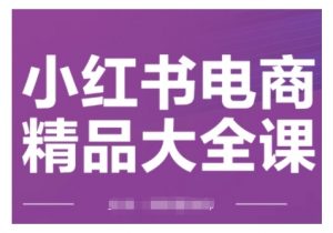 小红书电商精品大全课,快速掌握小红书运营技巧,实现精准引流与爆单目标,轻松玩转小红书电商(更新2月)-秋鱼网创