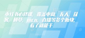 小红书必修课，覆盖电商，无人，获客，种草，mcn，直播等多个板块，看了就能干-秋鱼网创
