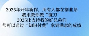 2025年开年新作，所有人都在割韭菜，我来教你做“镰刀” 2025让支持我的好兄弟们都可以通过“知识付费”拿到满意的成绩【揭秘】-秋鱼网创