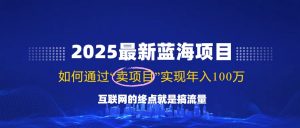 2025最新蓝海项目，零门槛轻松复制，月入10万+，新手也能操作！-秋鱼网创