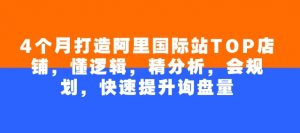 4个月打造阿里国际站TOP店铺,懂逻辑,精分析,会规划,快速提升询盘量-秋鱼网创