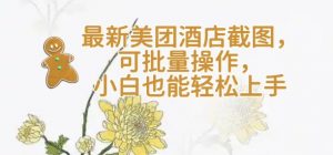 【轻云】最新美团酒店截图，可批量操作，小白也能轻松上手-秋鱼网创