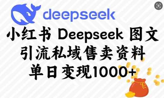 小红书Deepseek图文引流私域售卖资料,单日变现多张-秋鱼网创