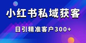 2025最新小红书平台引流获客截流自热玩法讲解，日引精准客户300+-秋鱼网创