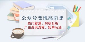公众号变现高阶课：热门赛道、对标分析、广告主变现流程、矩阵玩法-秋鱼网创