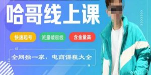 电商线上课程2025年，快速起号，流量破层级，这套方法起号率99%-秋鱼网创