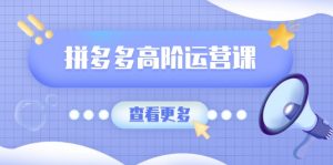 拼多多高阶运营课：极致群爆款玩法，轻付费无尽复制，打造单品爆款之路-秋鱼网创