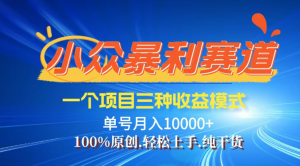 【灵狐计划】视频号最新爆火赛道，三种收益模式，0粉新号条条热门原创...-秋鱼网创