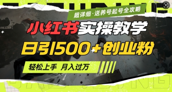 2月小红书最新日引500+创业粉实操教学【超详细】小白轻松上手，月入1W+，附小红书养号起号SOP-秋鱼网创