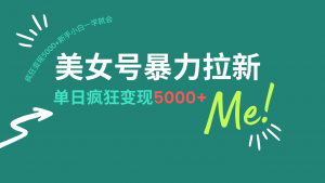 美女号暴力拉新，用过AI优化一件生成，每天搬砖，疯狂变现5000+新手小...-秋鱼网创