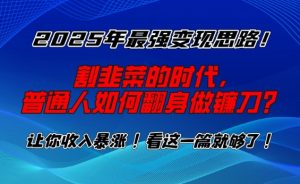 2025年最强变现思路，割韭菜的时代， 普通人如何翻身做镰刀？【揭秘】-秋鱼网创